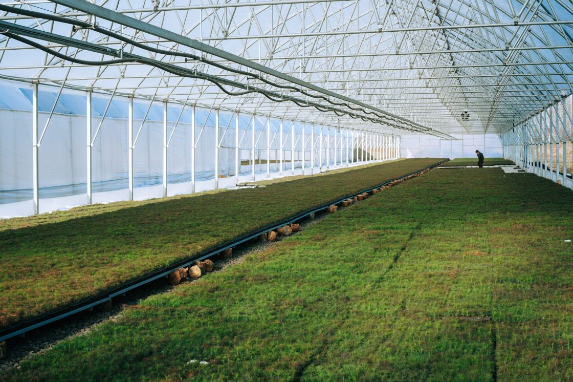 В Кузбассе при поддержке угольщиков создан питомник для выращивания саженцев В Кузбассе при поддержке угольщиков создан питомник для выращивания саженцев